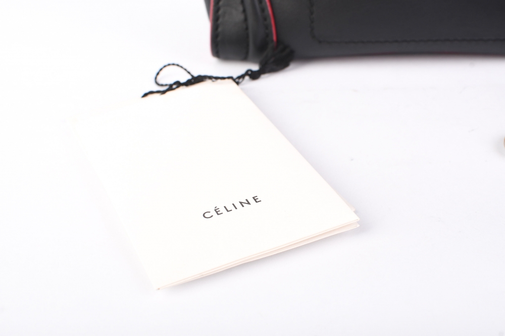 Celine Nano Luggage Tote Bag