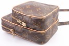 Louis Vuitton Amazon Mini thumbnail