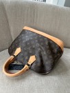 Louis Vuitton Alma  thumbnail