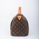Louis Vuitton Speedy 30 thumbnail