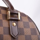 Louis Vuitton Ribera MM – Damier Ebene (2004) thumbnail