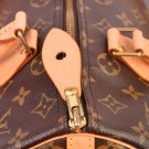 LOUIS VUITTON SPEEDY 30 (2009) – IKONISK HÅNDVESKE MED REISEINSPIRASJON thumbnail