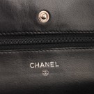 Chanel Classic Wallet On Chain Bag thumbnail