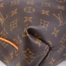 Louis Vuitton Sully thumbnail