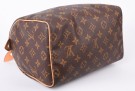 Louis Vuitton Speedy 25 thumbnail