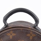 LOUIS VUITTON PALM SPRINGS – MONOGRAM CANVAS (2020) thumbnail