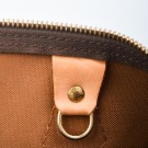 Louis Vuitton Speedy 30 thumbnail