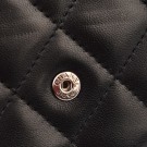 Chanel Classic Wallet On Chain Bag thumbnail